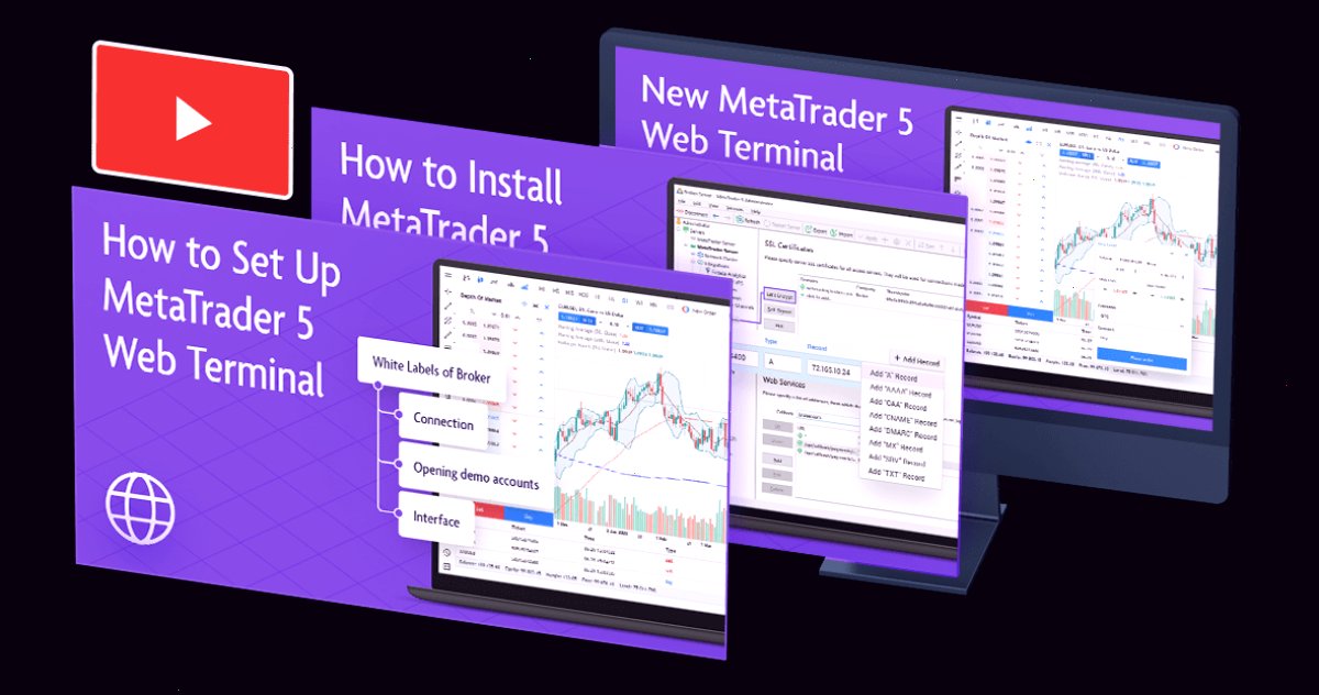 MetaTrader5_MT5官网_安卓下载通道：MetaQuotes为交易商发布系列视频指南（封面配图）